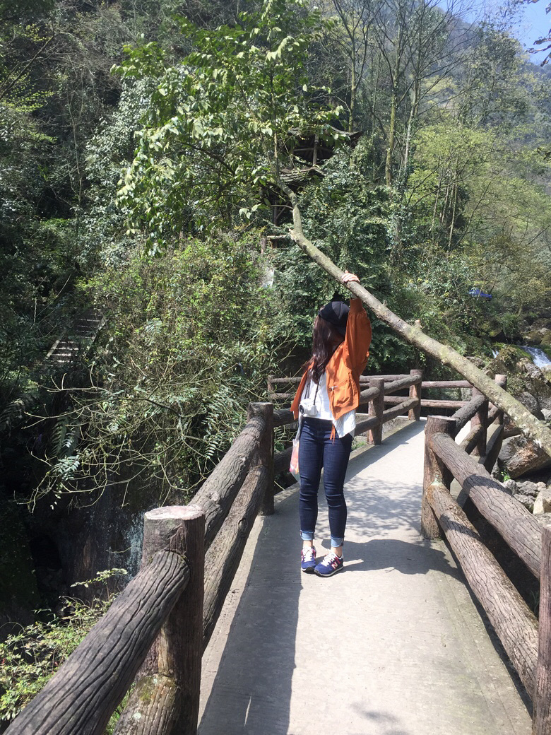 �õ�����������