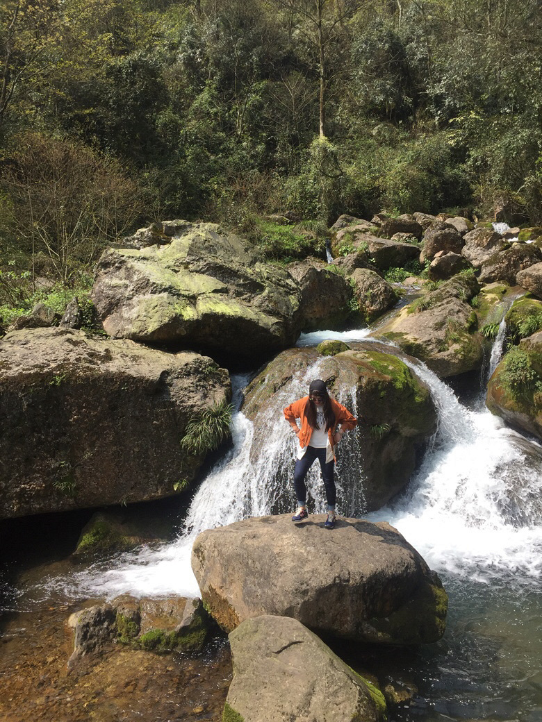 �õ�����������