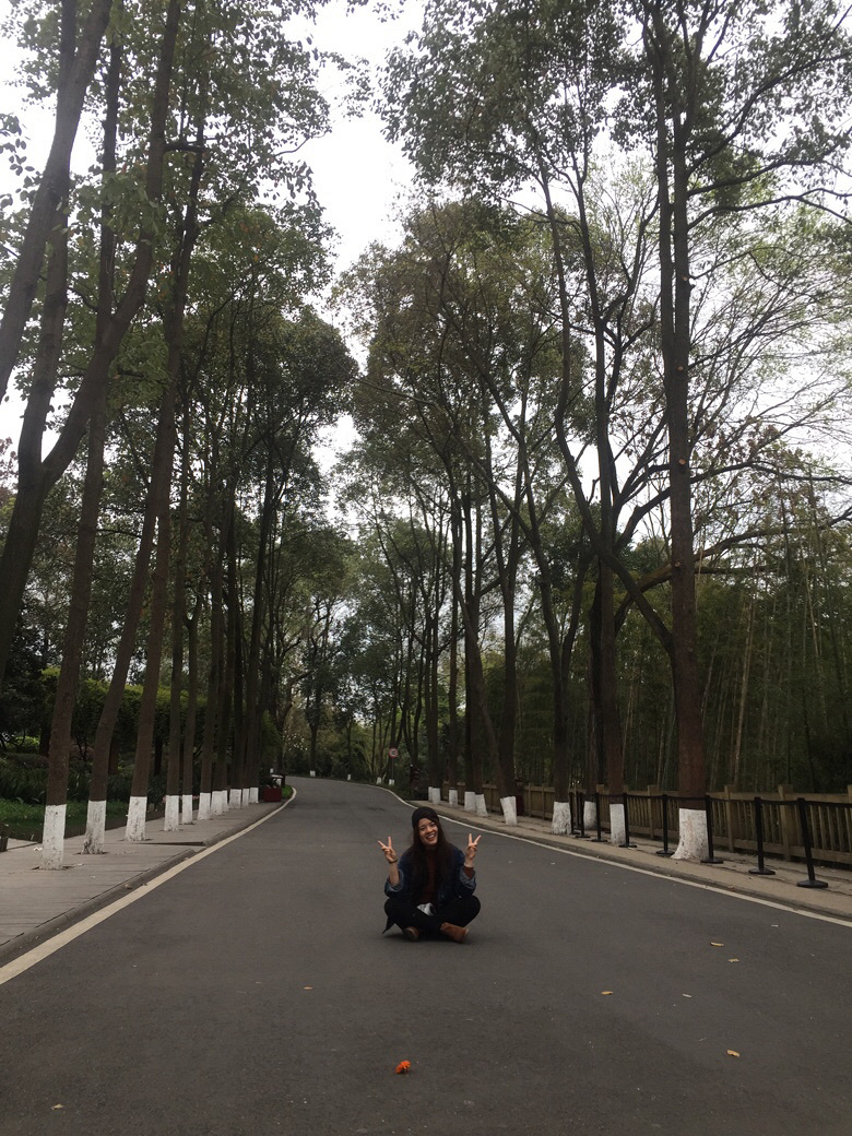 �õ�����������