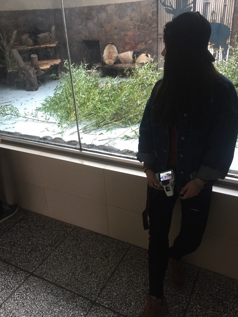 �õ�����������