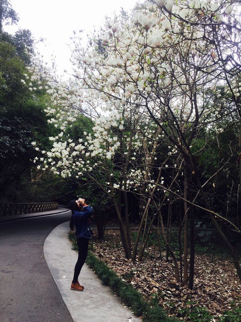 �õ�����������