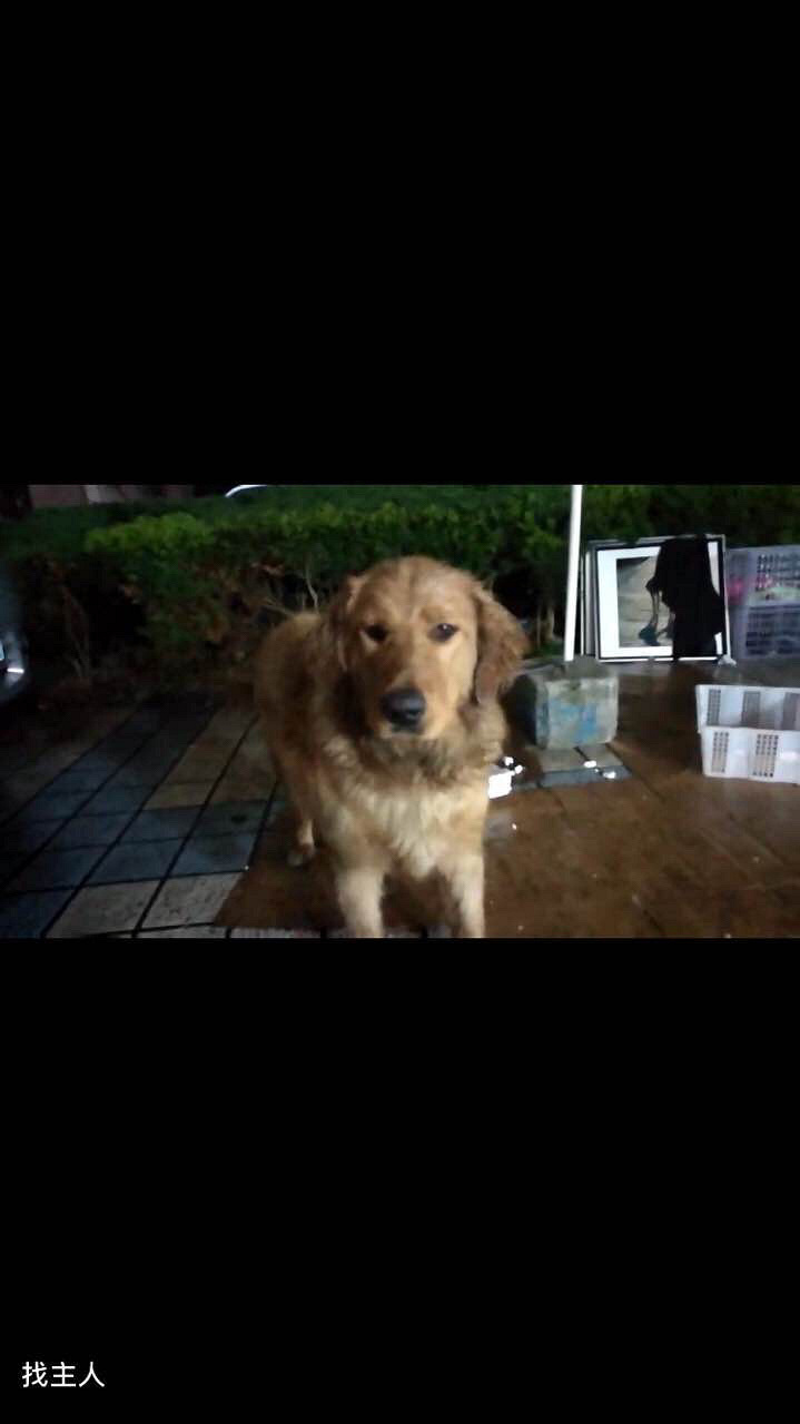 Ѱ�����ˣ��Ҳ������˾�����������Ѱ������