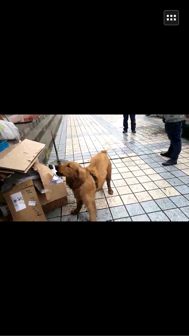 Ѱ�����ˣ��Ҳ������˾�����������Ѱ������