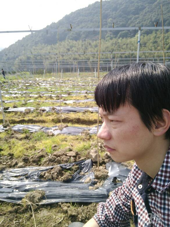 我是个农民的孩子 收入低但至少饿不死-单身男