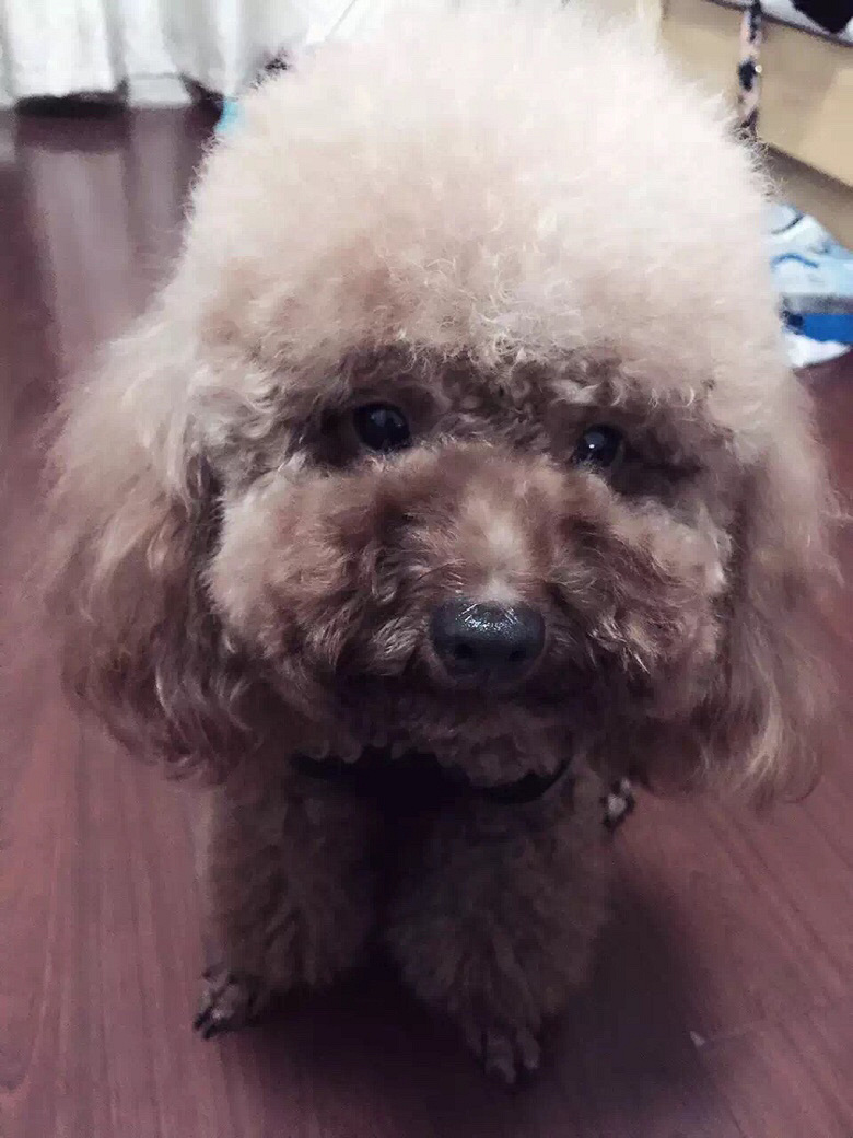 �ؽ�����5000ԪѰ�Ҷ�ʧ��̩�Ϲ���