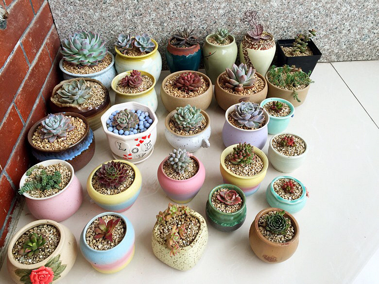 �Ҽҵ�С��԰