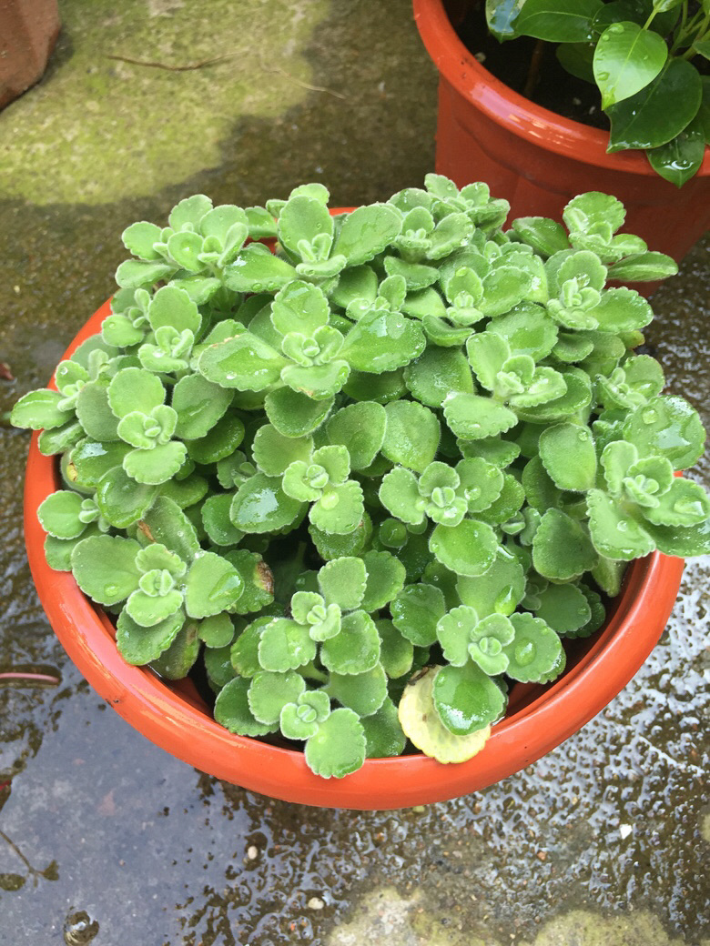 ����˭�ܽ�������