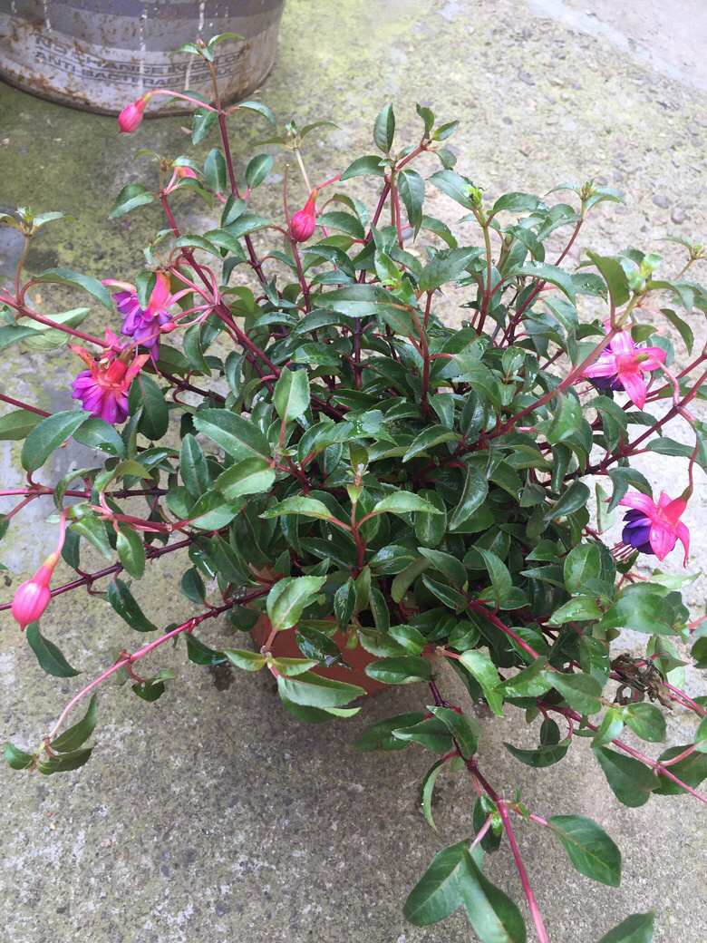 ����˭�ܽ�������