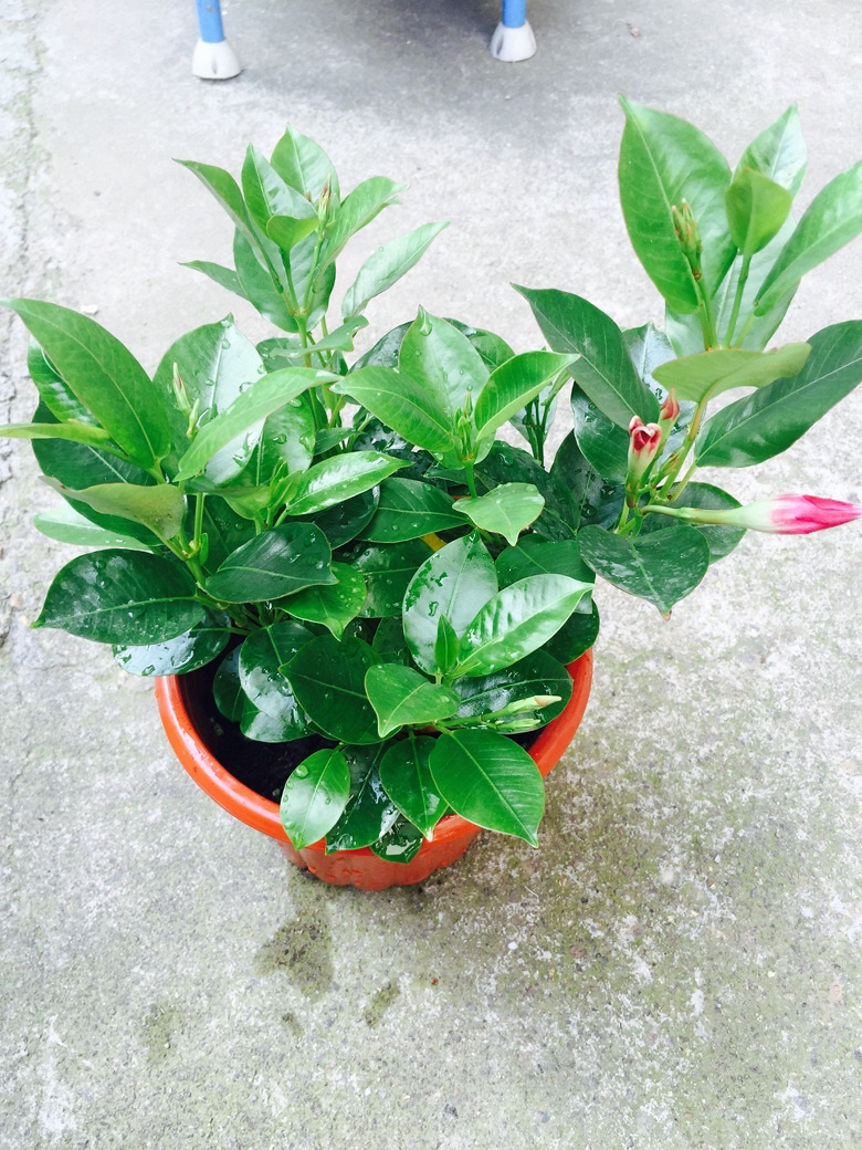 ����˭�ܽ�������