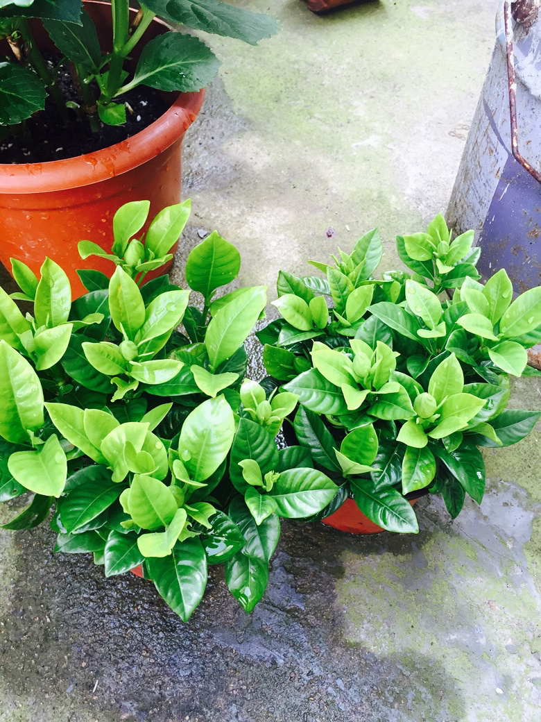 ����˭�ܽ�������