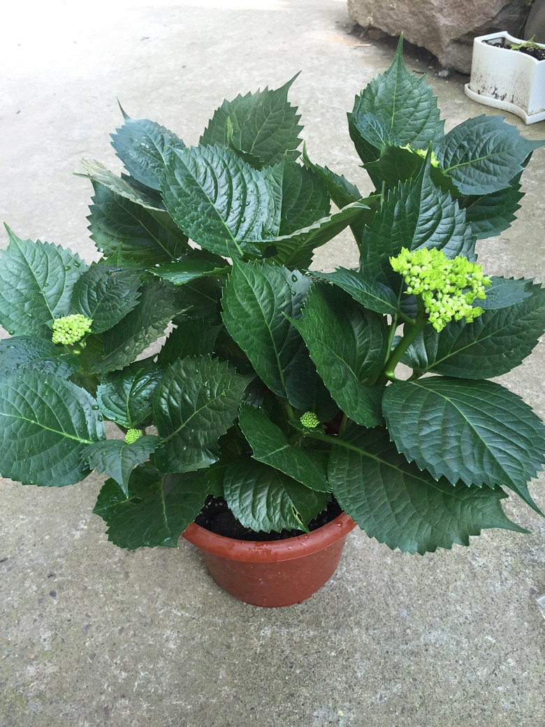 ����˭�ܽ�������