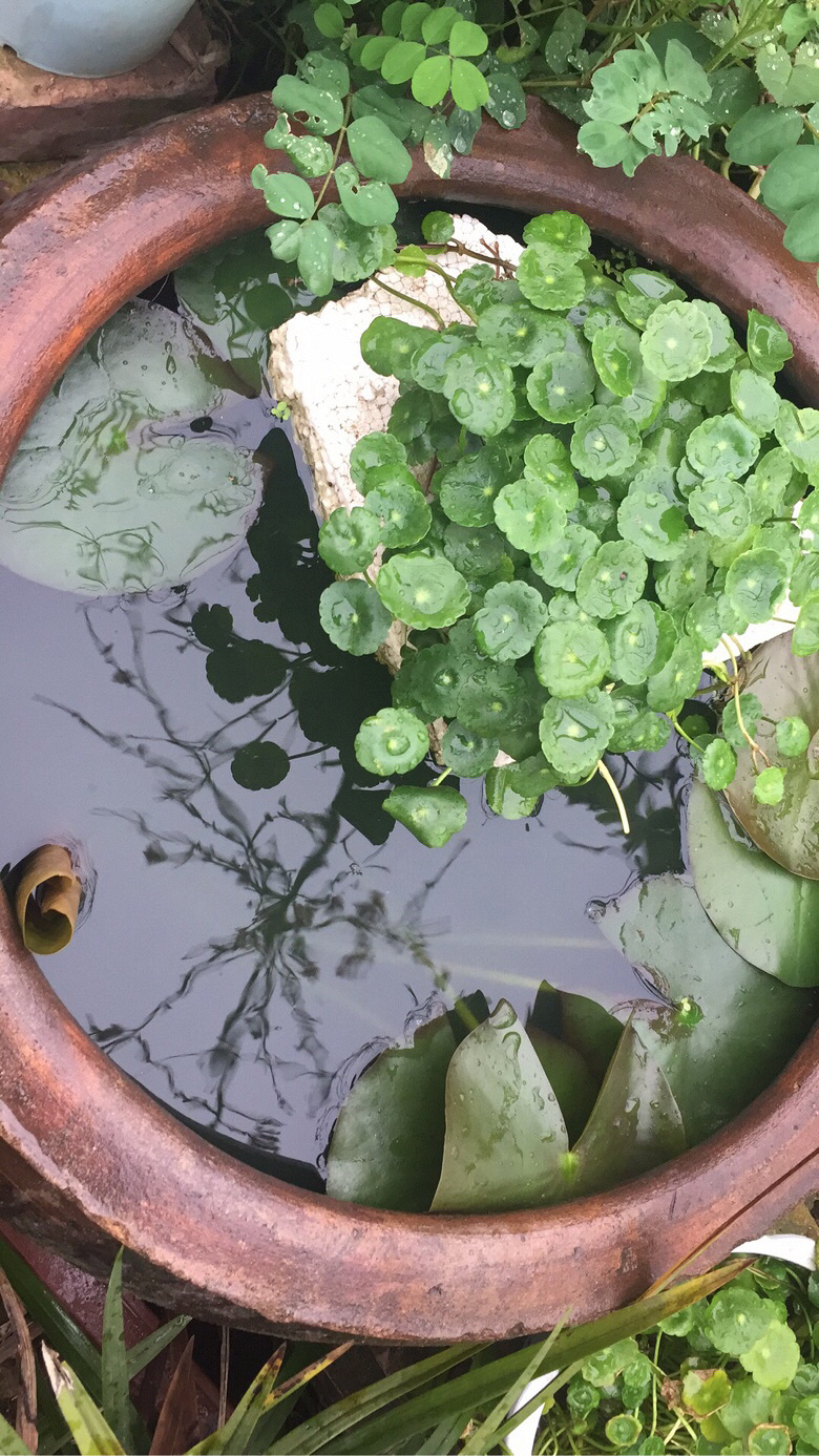 �ٷ�һ�λ����оͷ���