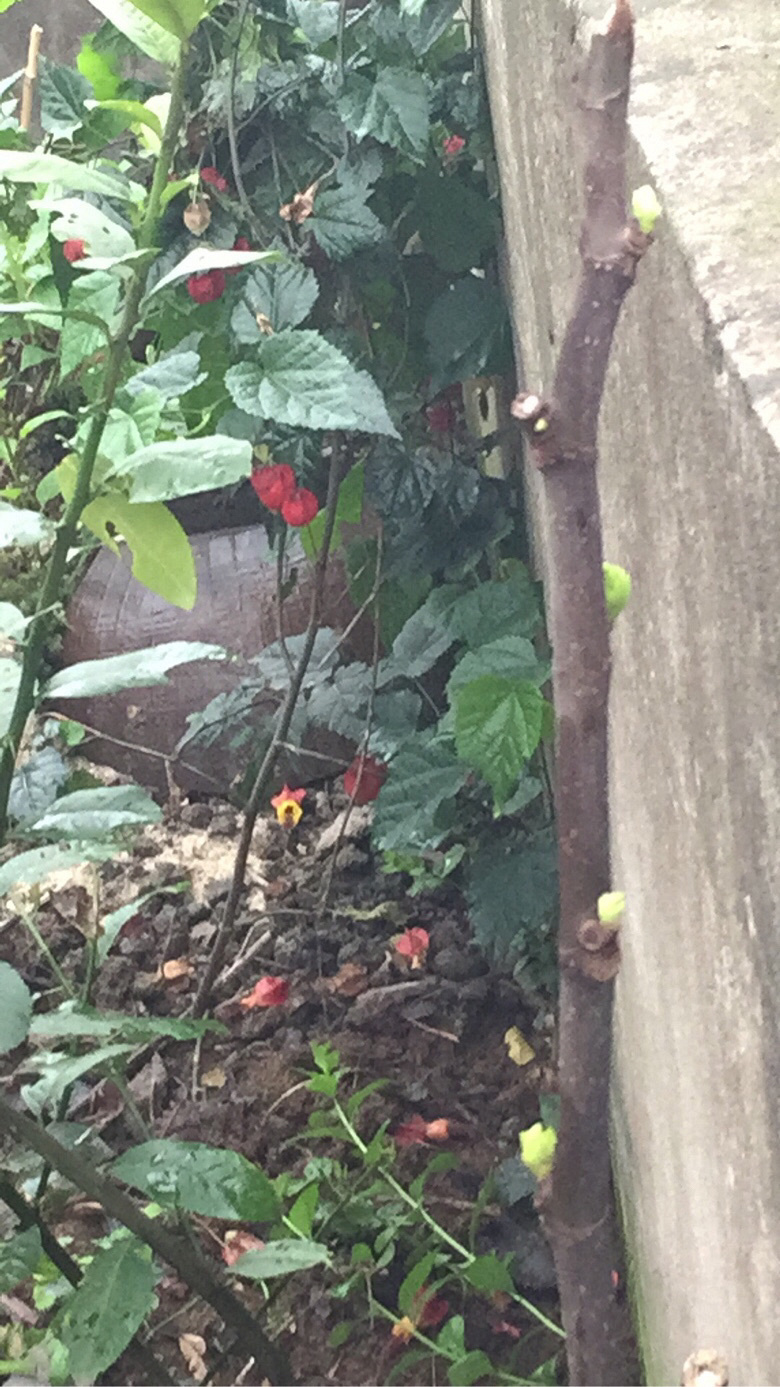 �ٷ�һ�λ����оͷ���