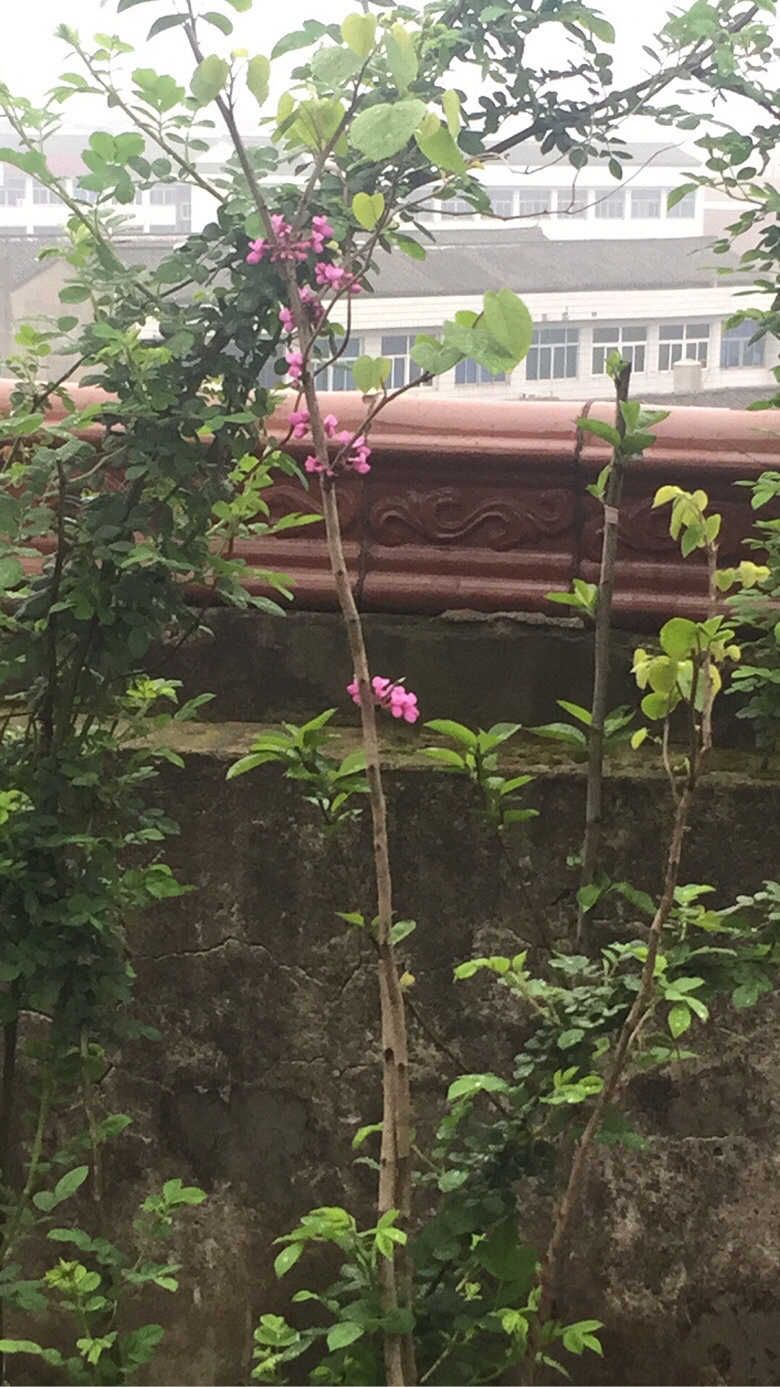 �ٷ�һ�λ����оͷ���