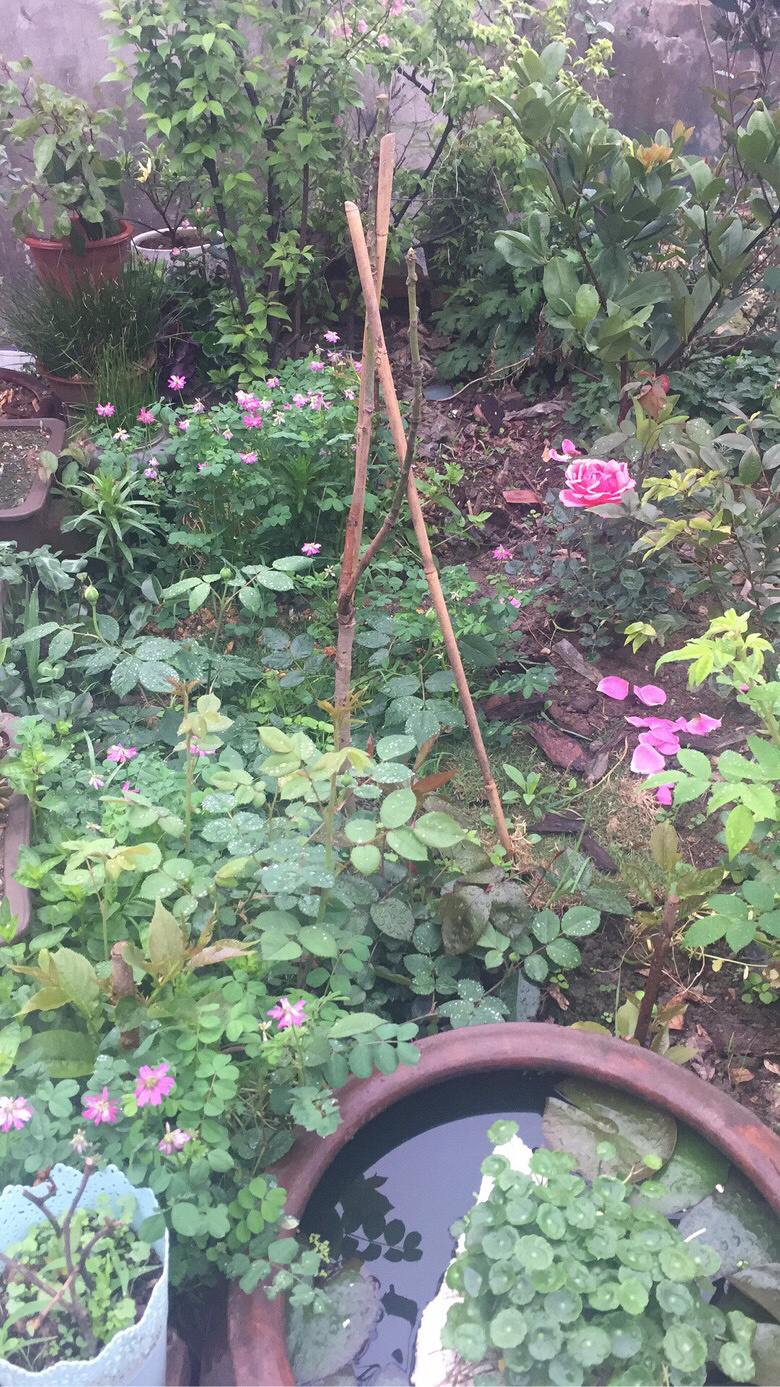 �ٷ�һ�λ����оͷ���