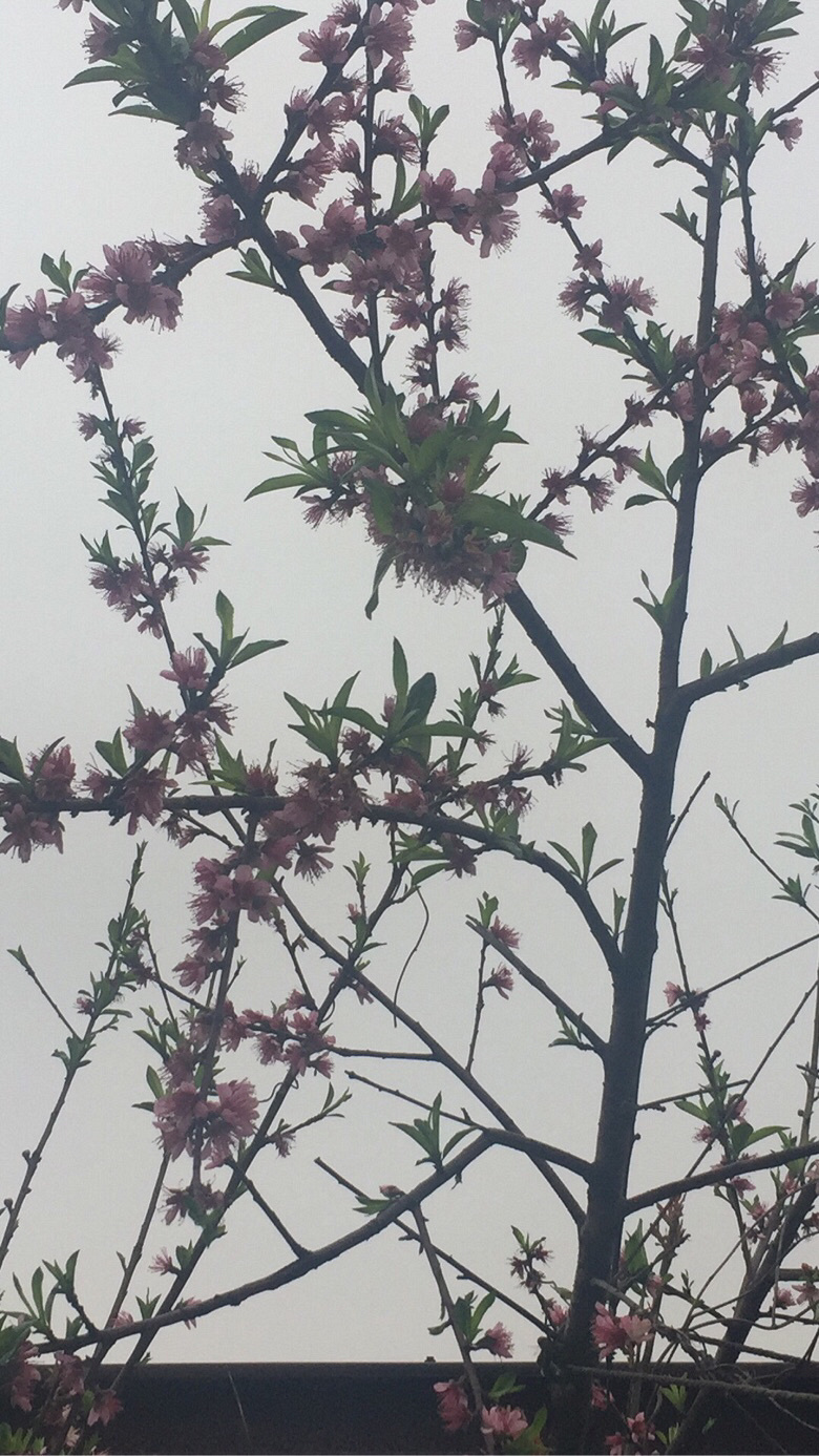 �ٷ�һ�λ����оͷ���