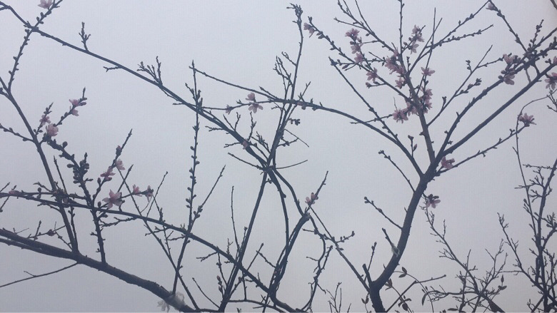 �ٷ�һ�λ����оͷ���