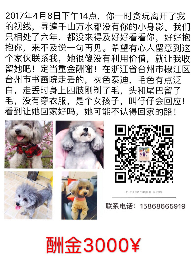 Ѱ����ʾ��������ᶪʧ��