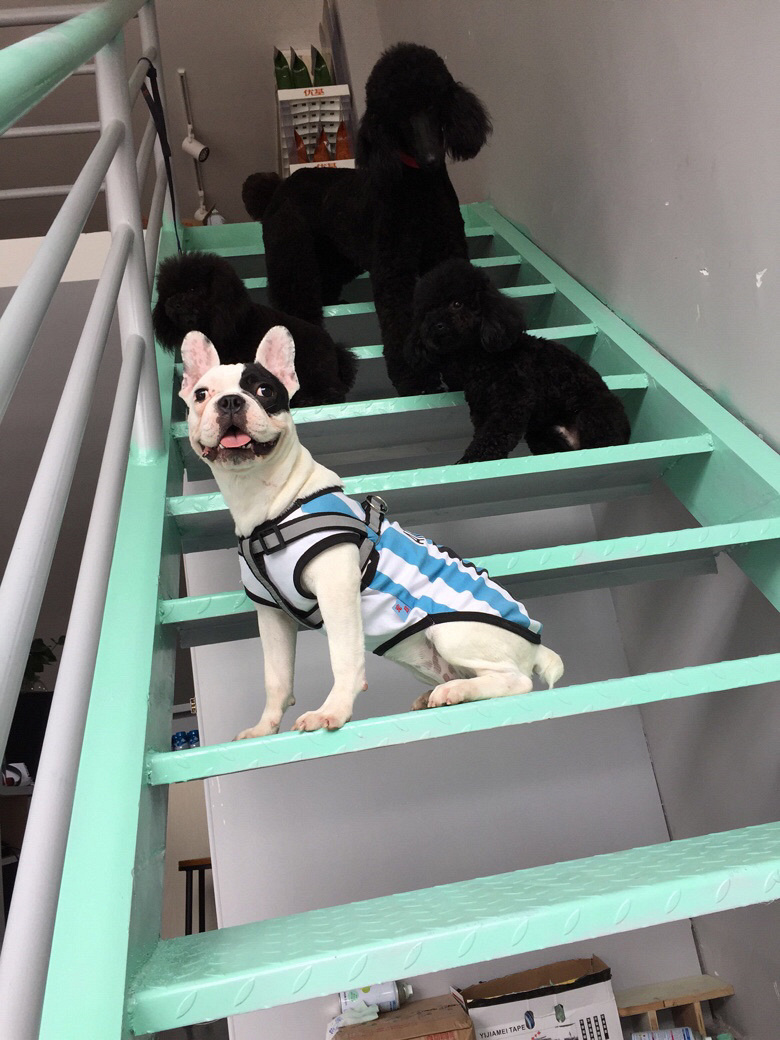 �ڰ׻�����ĸ ���Ϲ�(��̨�ݵ���)