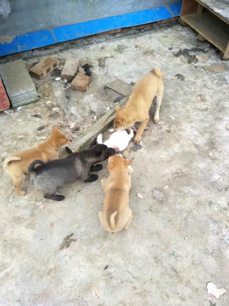 ��������ת��