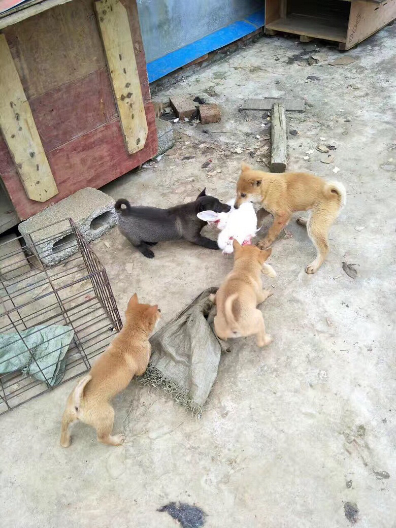 ��������ת��