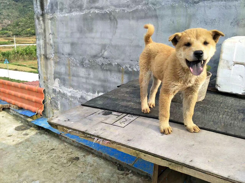 ��������ת��