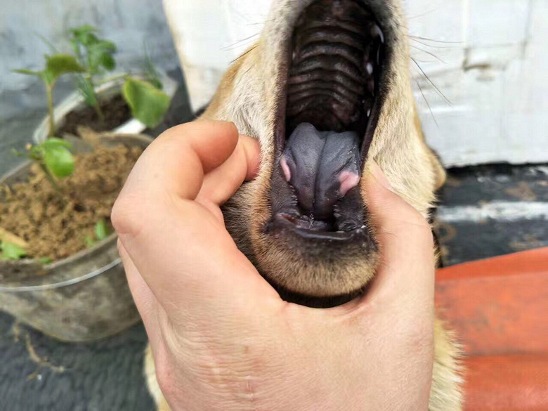 ��������ת��