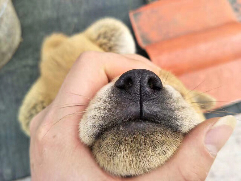 ��������ת��