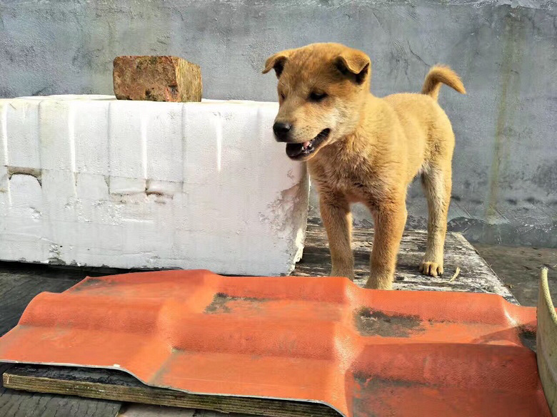 ��������ת��