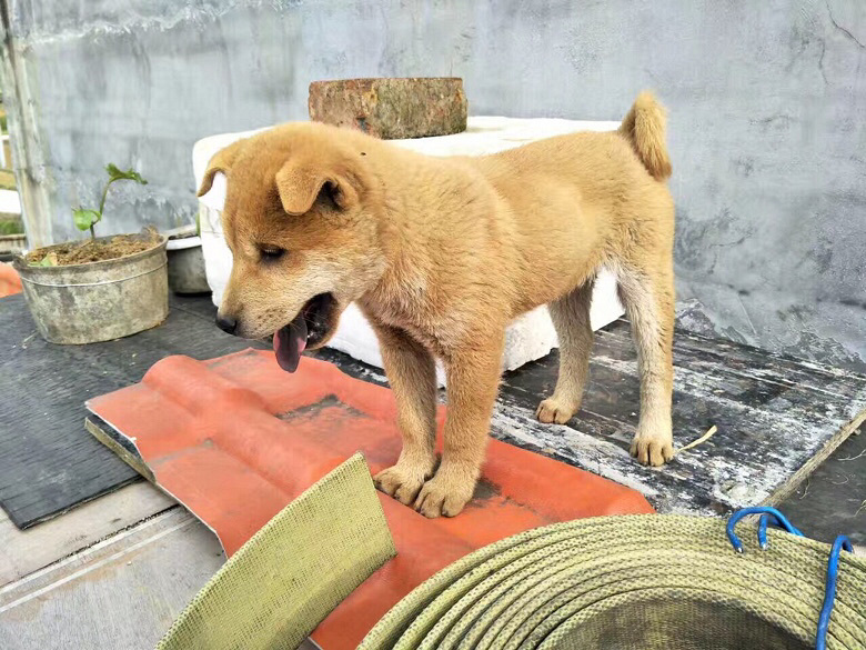 ��������ת��