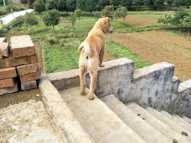 ��������ת��