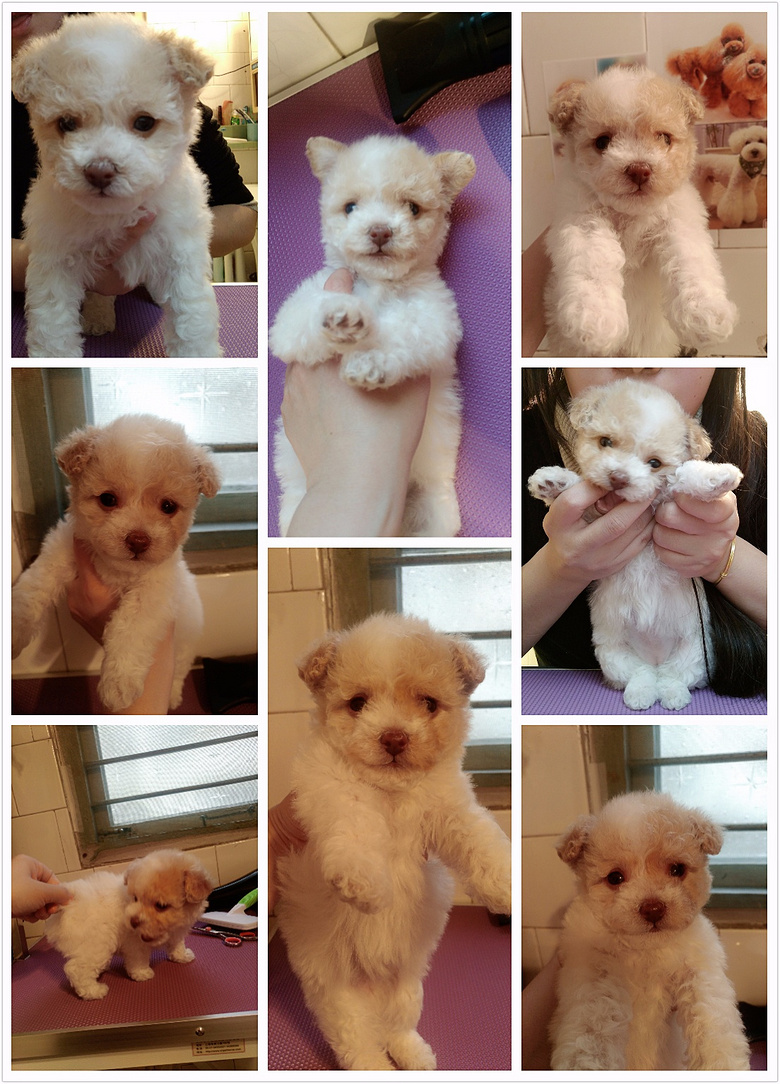 ��������̩�Ϲ��