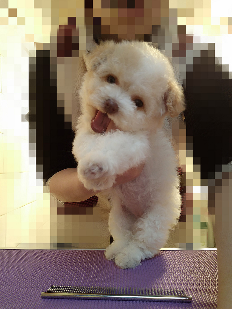 ��������̩�Ϲ��