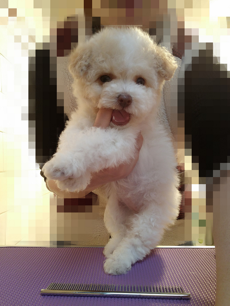 ��������̩�Ϲ��