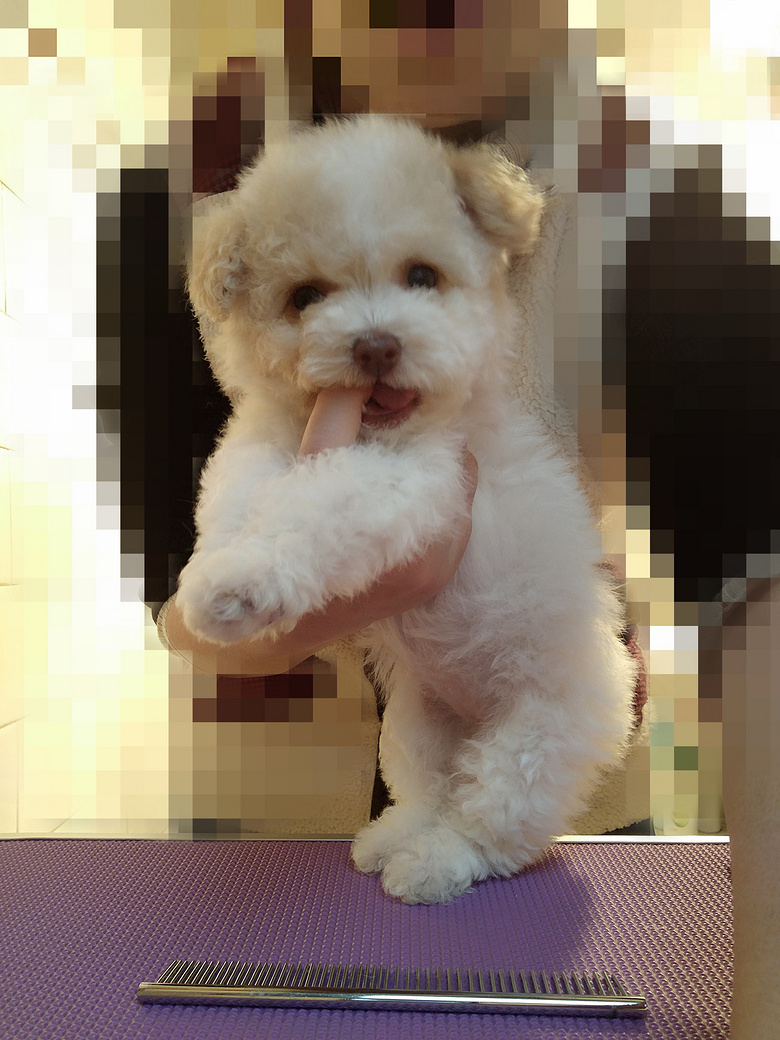 ��������̩�Ϲ��