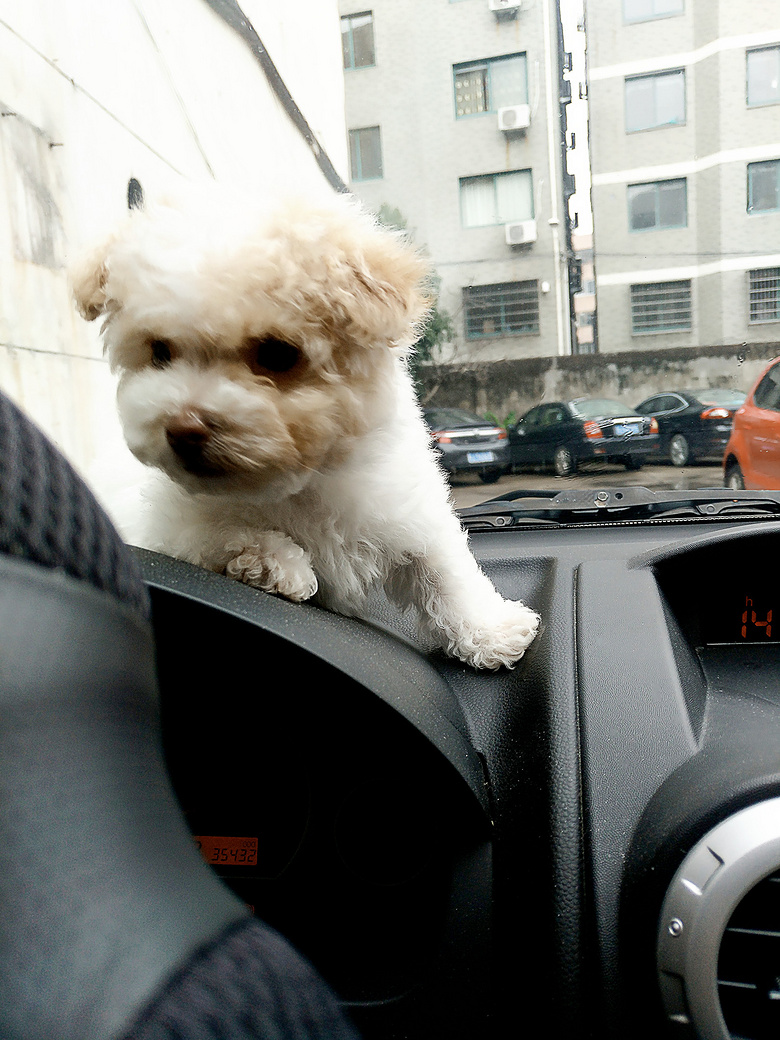 ��������̩�Ϲ��