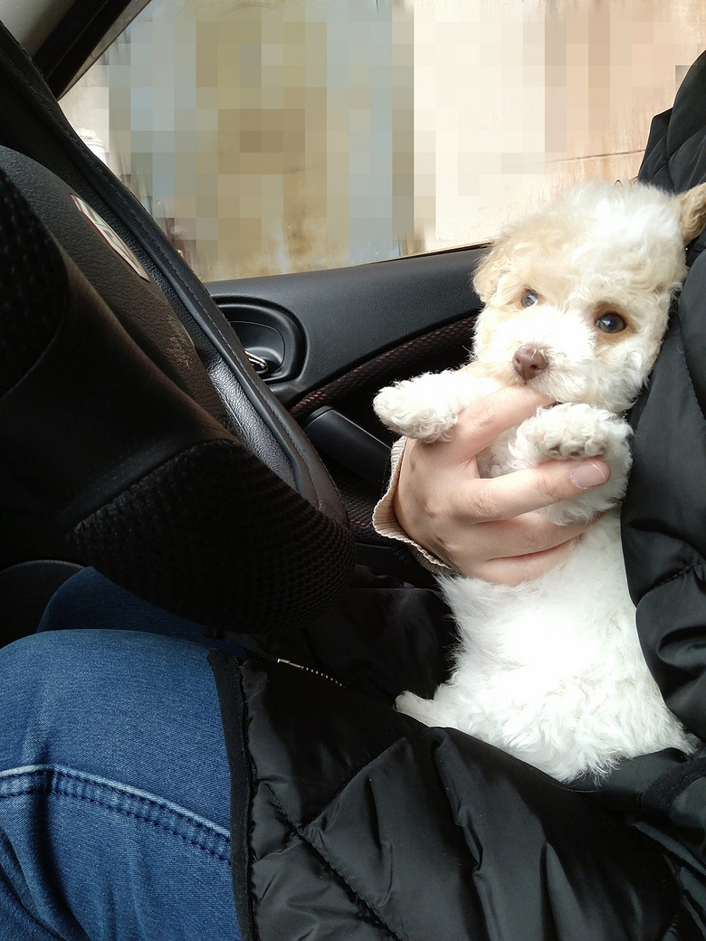 ��������̩�Ϲ��