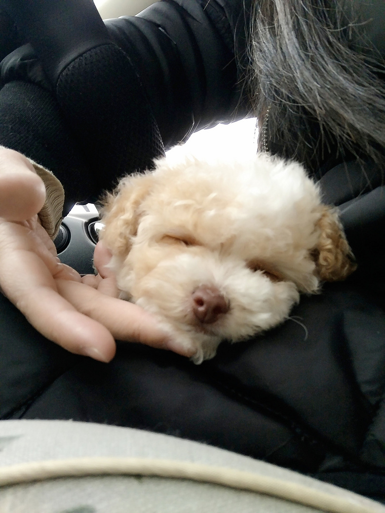 ��������̩�Ϲ��