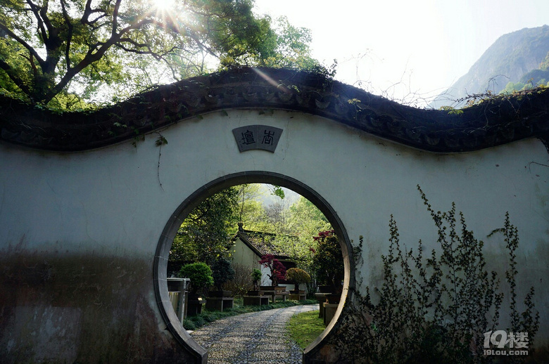 九峰公园报春园花事