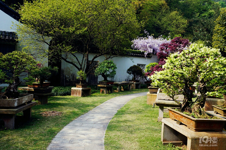 九峰公园报春园花事