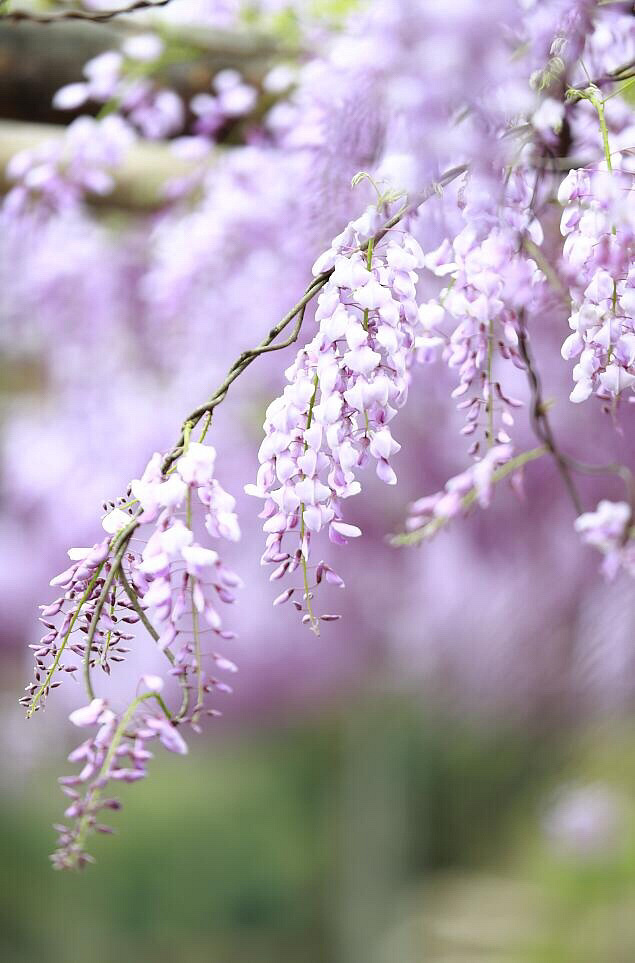 ������ɽ����ȴ�˼�