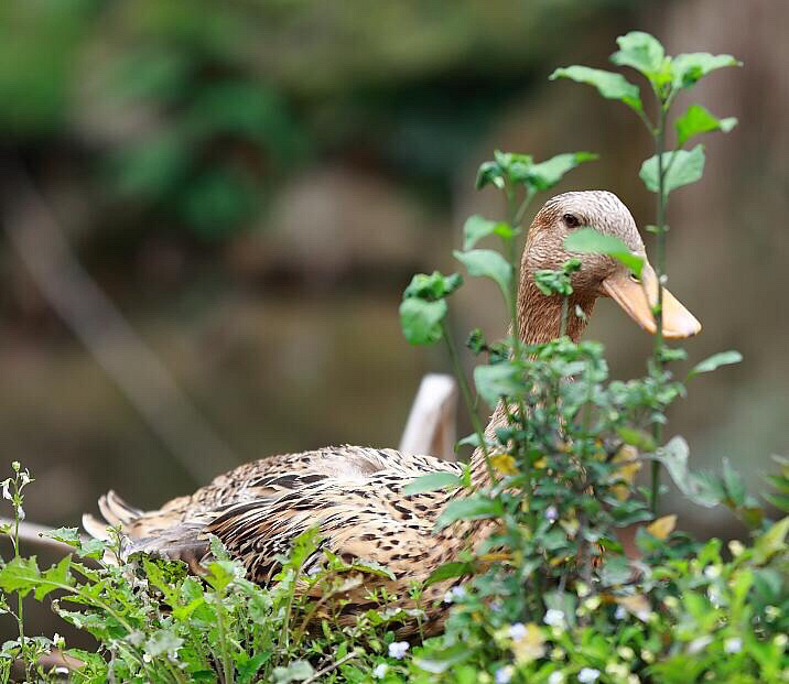 ������ɽ����ȴ�˼�