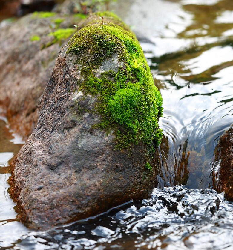 ������ɽ����ȴ�˼�