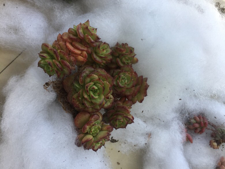 Ư���������ǣ��ٺ��������ǵ�������