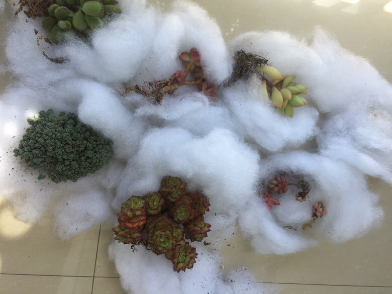 Ư���������ǣ��ٺ��������ǵ�������