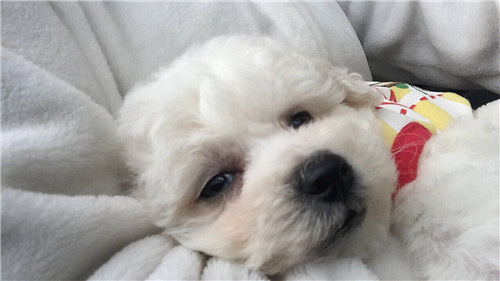 ��������������