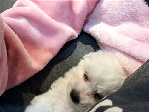 ��������������