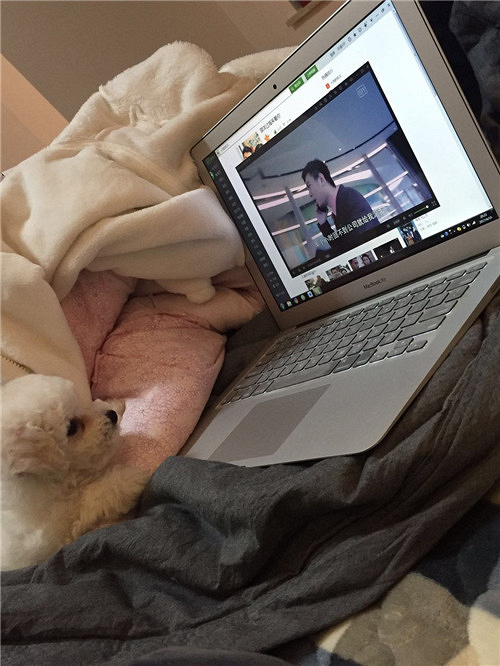 ��������������