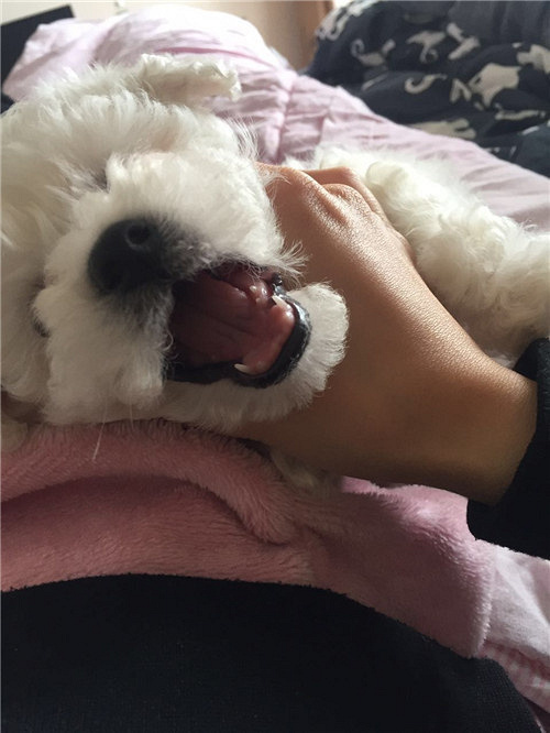 ��������������