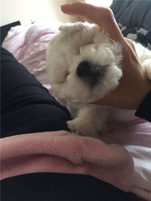 ��������������